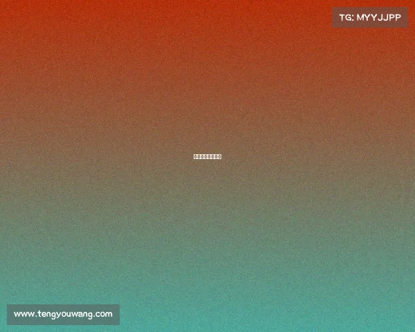 技术官员包括什么